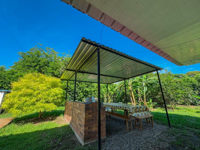 Zona BBQ y zonas verdes
