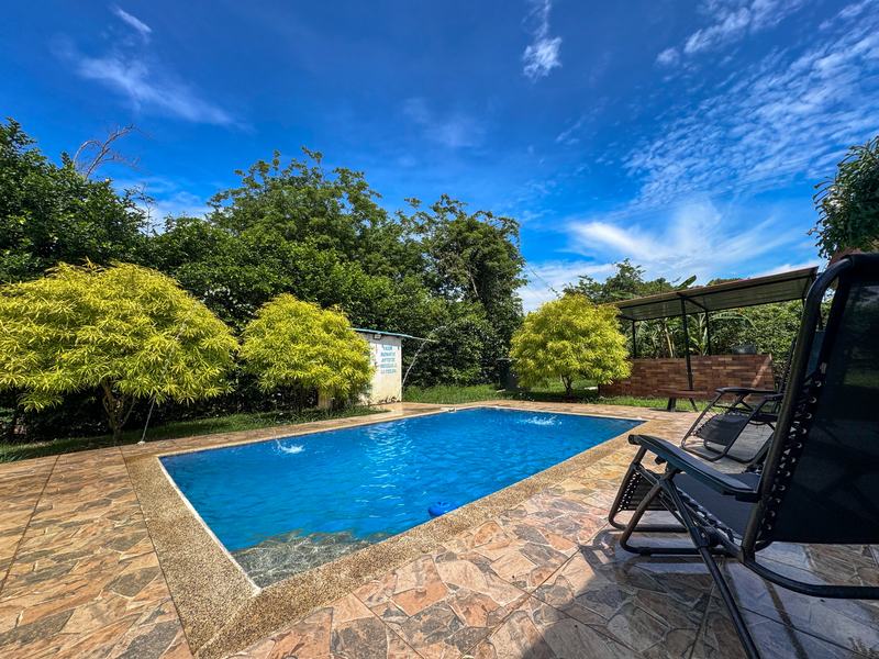 Piscina y jardín
